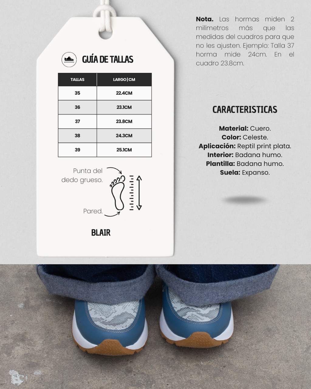 Viera Celeste / BM-002